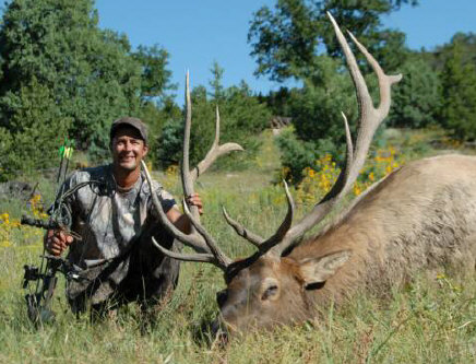 archery elk hunting